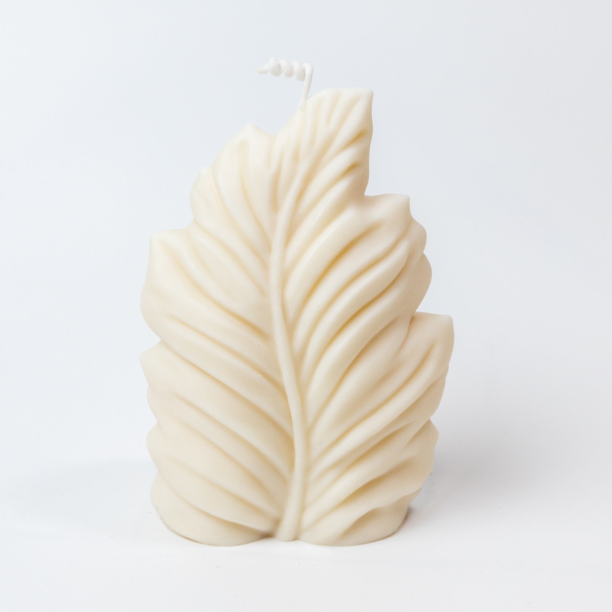 Handmade Soy Wax Candle "Feather" 360g