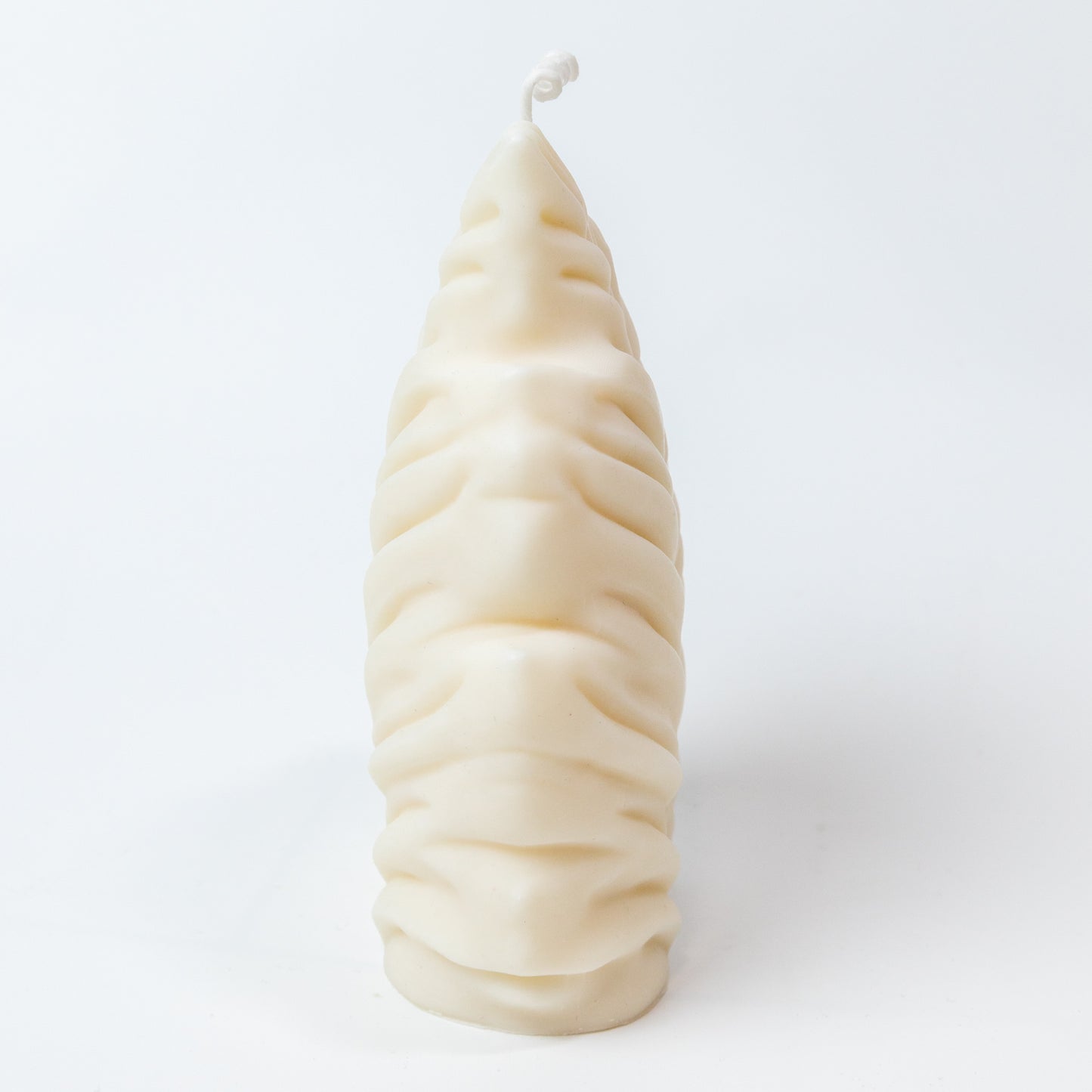 Handmade Soy Wax Candle "Feather" 360g