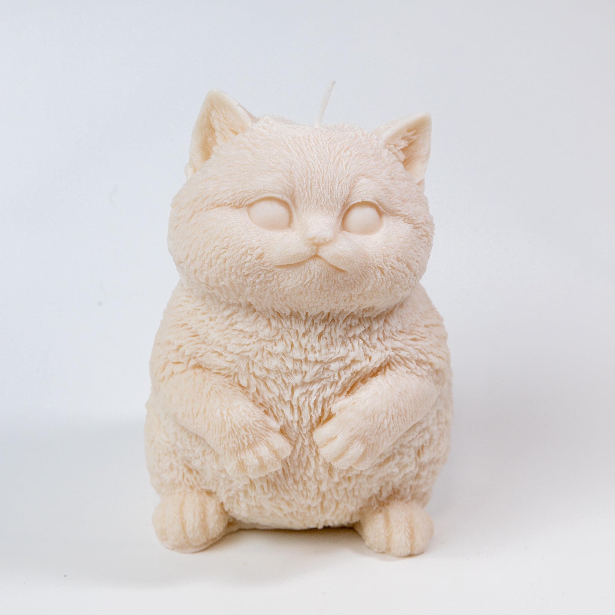 Handmade Soy Wax Candle "Chubby Cat" 810g