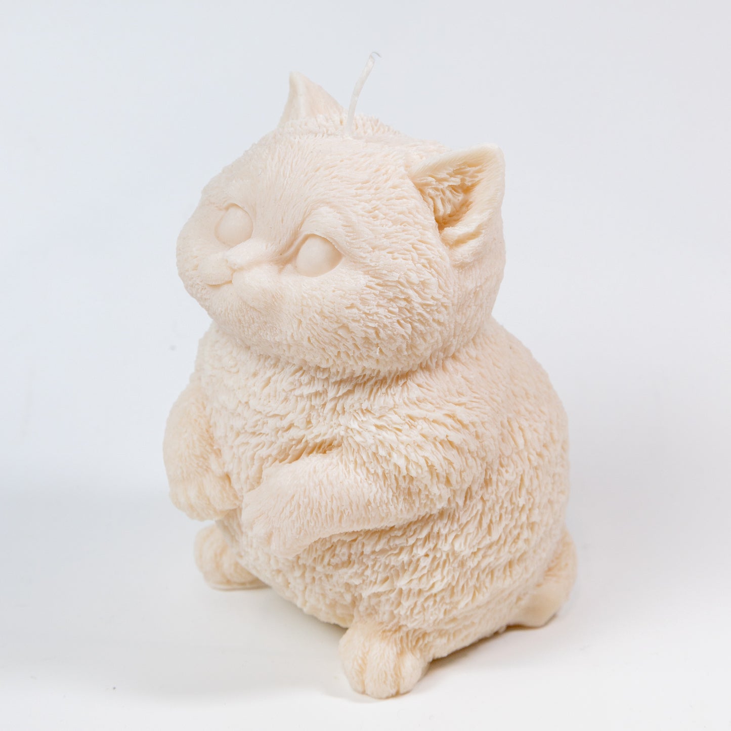 Handmade Soy Wax Candle "Chubby Cat" 810g